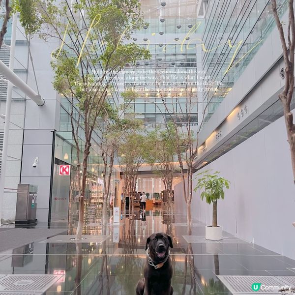 科學園狗狗友善餐廳推介‼️Tom Bar & Grill