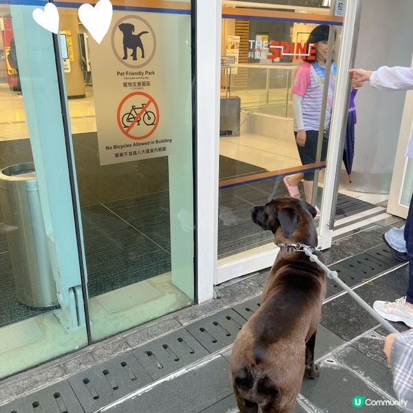 科學園狗狗友善餐廳推介‼️Tom Bar & Grill