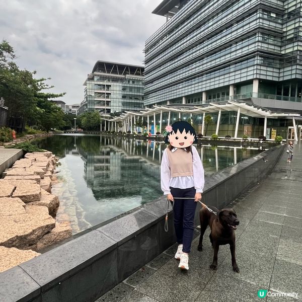 科學園狗狗友善餐廳推介‼️Tom Bar & Grill