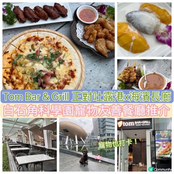 科學園狗狗友善餐廳推介‼️Tom Bar & Grill