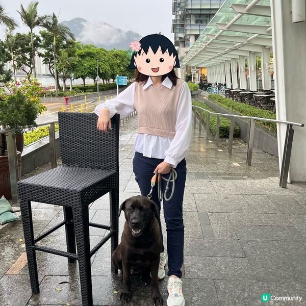 科學園狗狗友善餐廳推介‼️Tom Bar & Grill