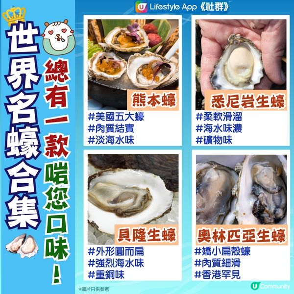 【召募生蠔達人】搵出最啱口味嘅生蠔！
