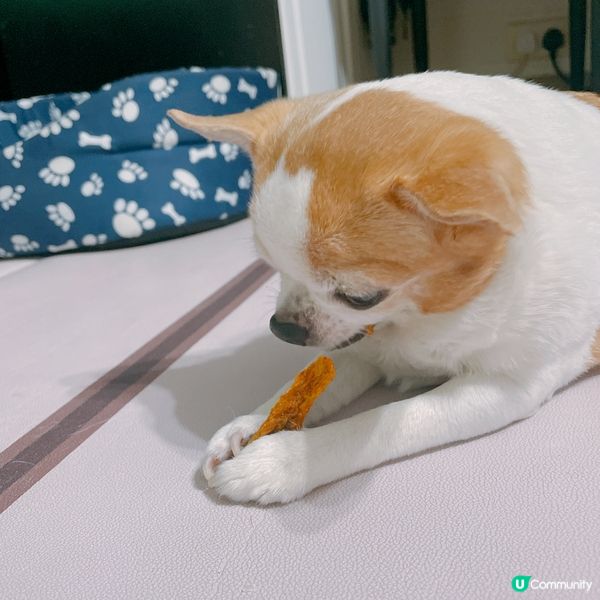 新鮮狗狗風乾零食