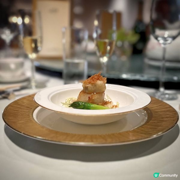 桌上黑珍珠@天寶閣