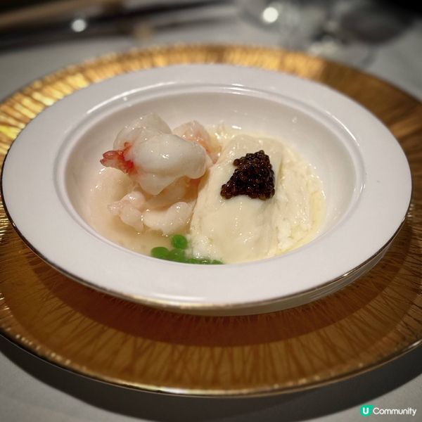 桌上黑珍珠@天寶閣