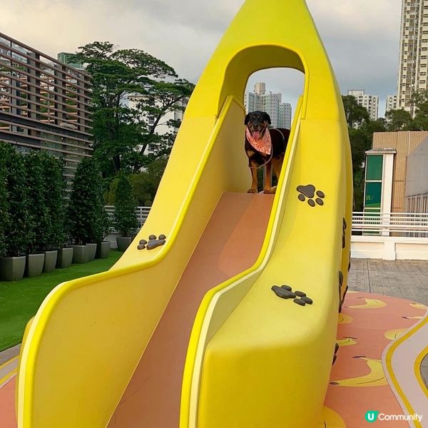 大埔寵物打卡熱點‼️