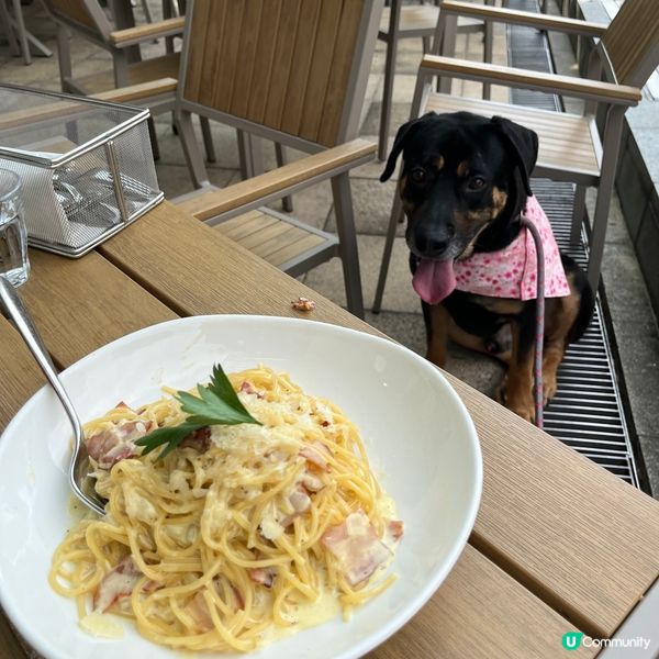 科學園寵物友善餐廳