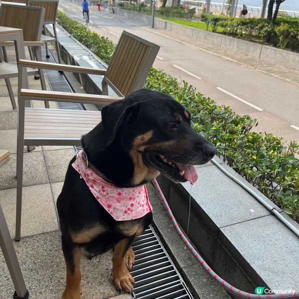 科學園寵物友善餐廳