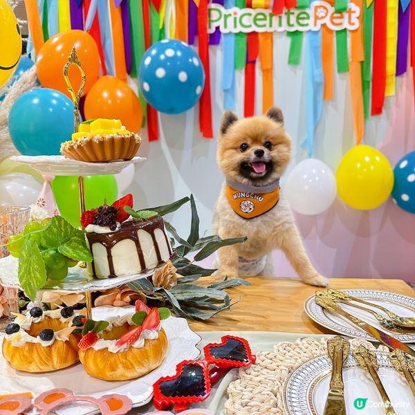 Megabox 轉身變成寵物友善商場