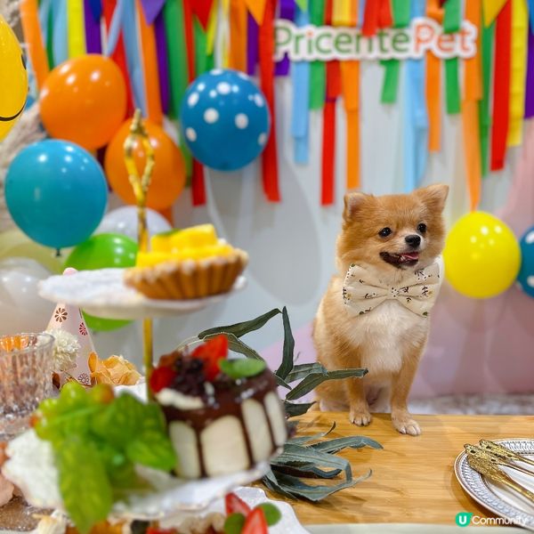 Megabox 轉身變成寵物友善商場