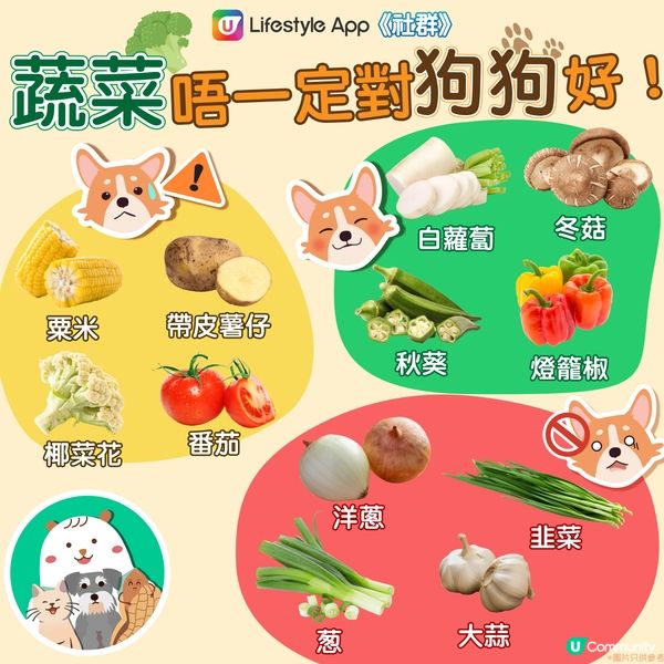 【狗狗飲食錦囊】唔小心食咗或會致命😱！