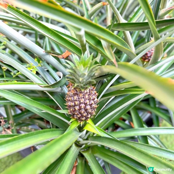 玩樂滿Fun@香港黃金海岸酒店