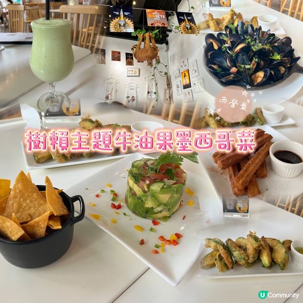 樹賴主題牛油果墨西哥菜