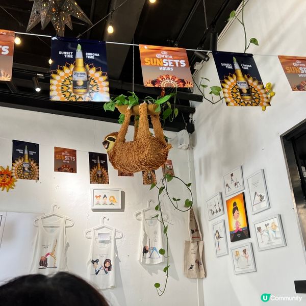 樹賴主題牛油果墨西哥菜