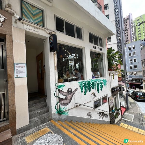 樹賴主題牛油果墨西哥菜