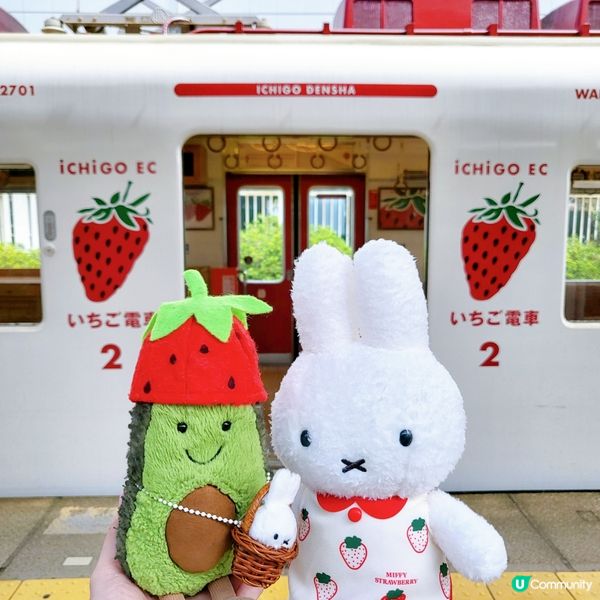 和歌山貴志川線之草莓電車🍓