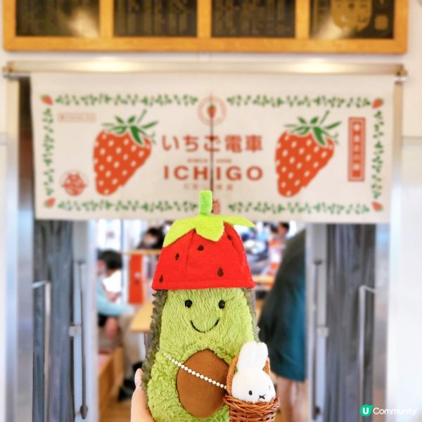 和歌山貴志川線之草莓電車🍓