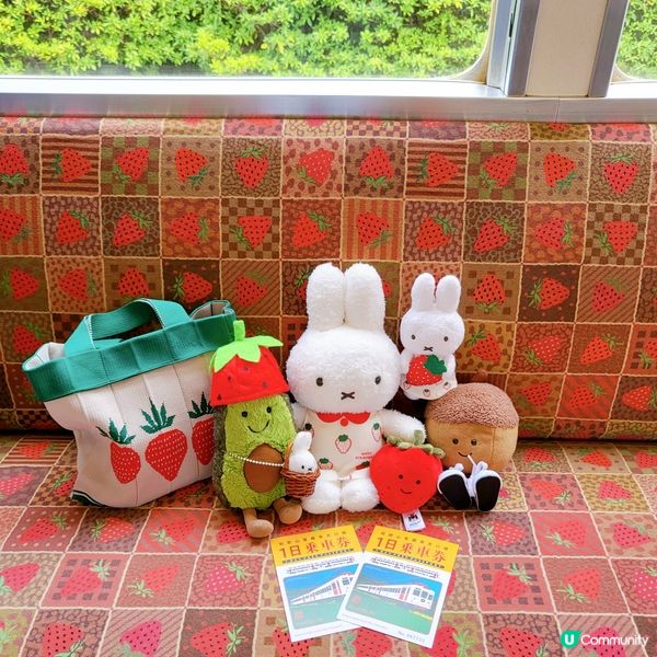 和歌山貴志川線之草莓電車🍓