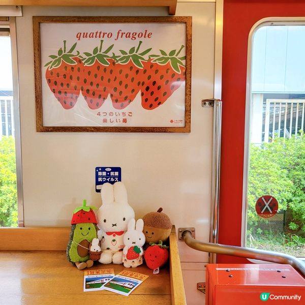 和歌山貴志川線之草莓電車🍓