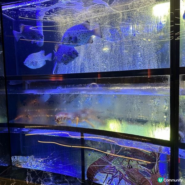 🍽️ 港宴海鮮火鍋 (尖沙咀)