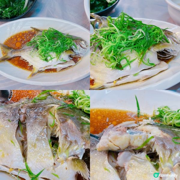 揸車去布袋澳「海鮮島墨魚刺身專門店」