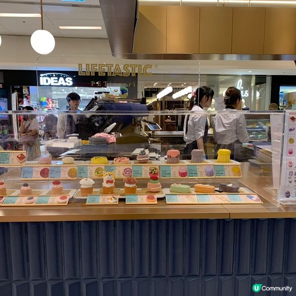 Lifetastic西瓜蛋糕