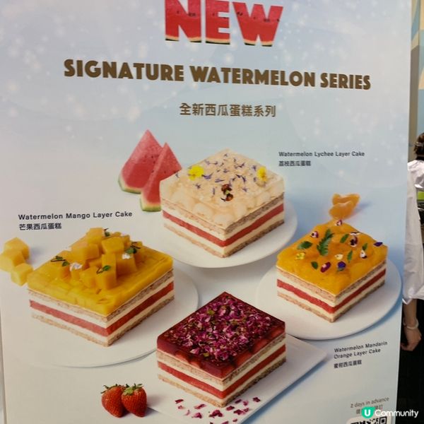 Lifetastic西瓜蛋糕