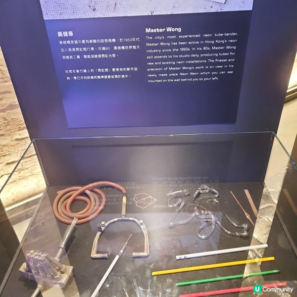 霓虹人生🌈光照萬民