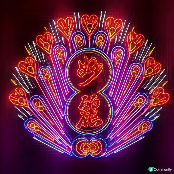 霓虹人生🌈光照萬民