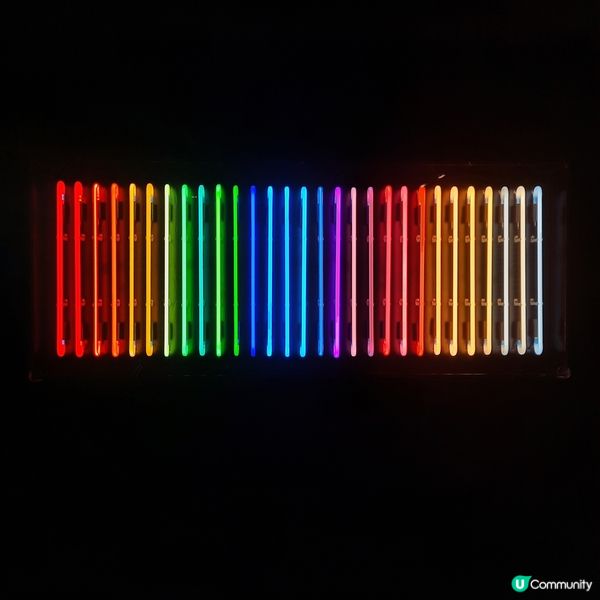 霓虹人生🌈光照萬民