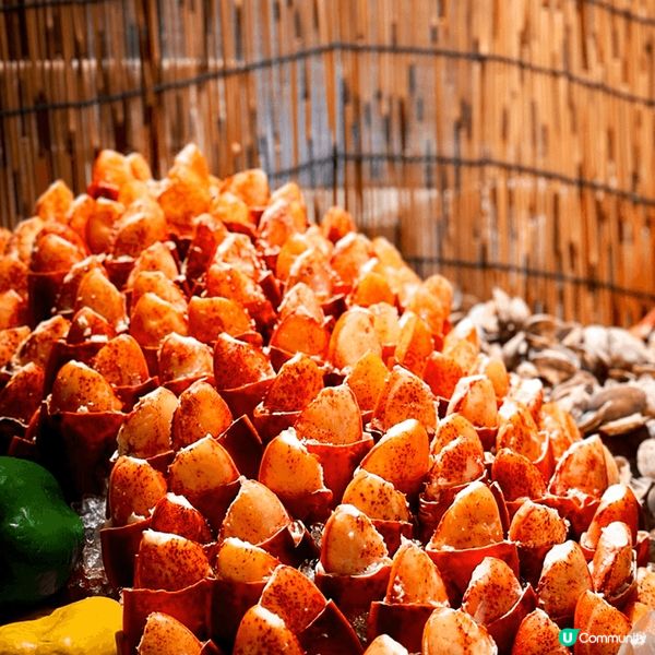 香港自助餐2023 | 本地4大夏日必食自助餐實測！附真實食評及現場實拍！人氣酒店自助餐 / 任食海鮮生蠔刺身 / 泰式風情嘉年華！
