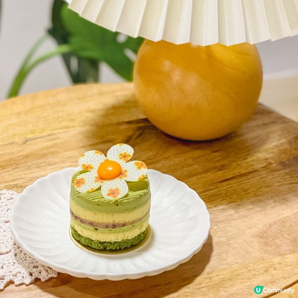超過20年經驗｜多款精緻打卡蛋糕