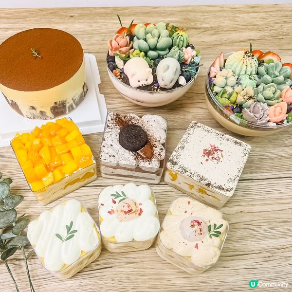 雙重口感！Tiramisu＋巴斯克蛋糕｜可愛盆栽蛋糕｜足料盒子蛋糕