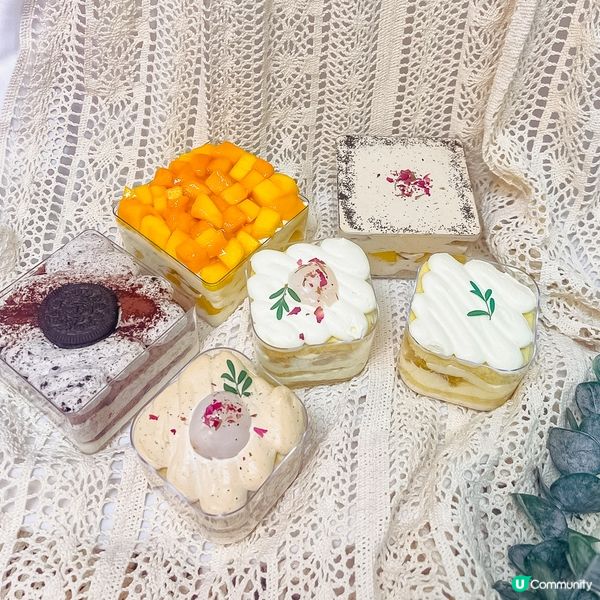 雙重口感！Tiramisu＋巴斯克蛋糕｜可愛盆栽蛋糕｜足料盒子蛋糕