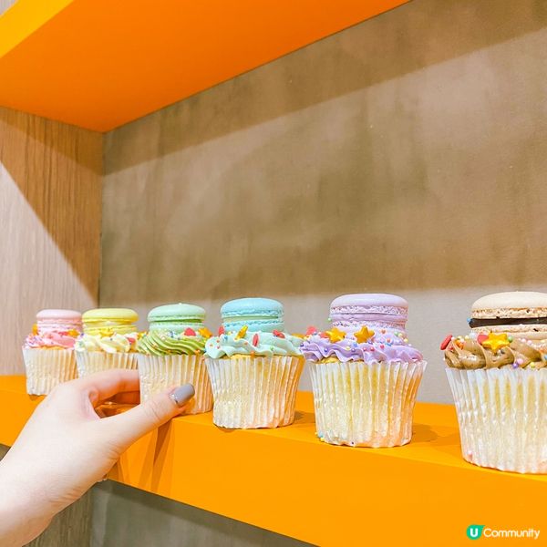 低糖低脂！夢幻風打卡造型蛋糕網店~