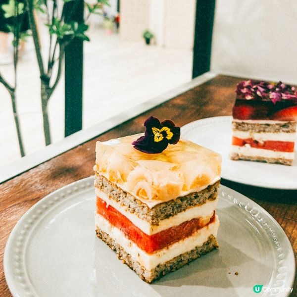 小清新之選！打卡又食得健康水果蛋糕～