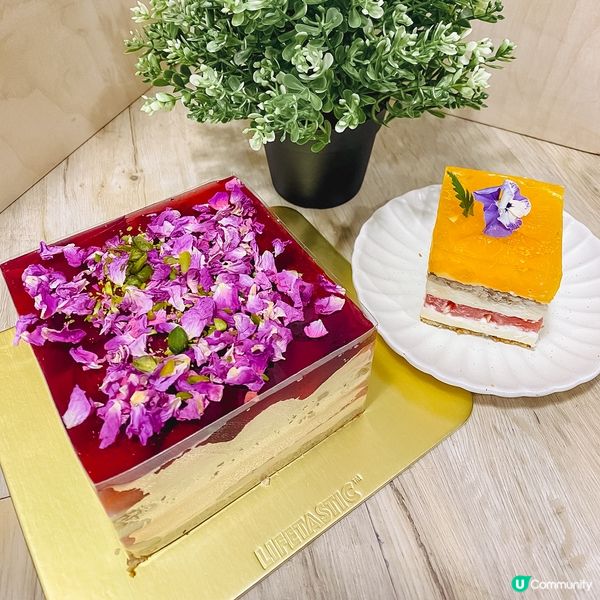 小清新之選！打卡又食得健康水果蛋糕～