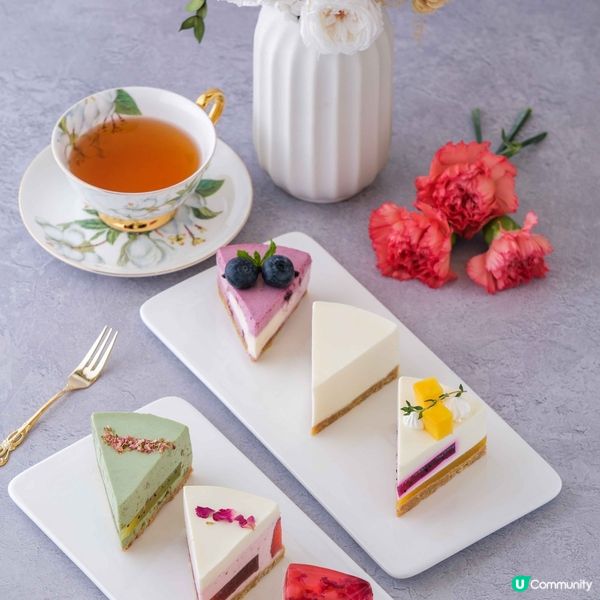 【請您試食】Lanala全新口味「希臘乳酪芝士蛋糕」2⃣0⃣0⃣件！ 