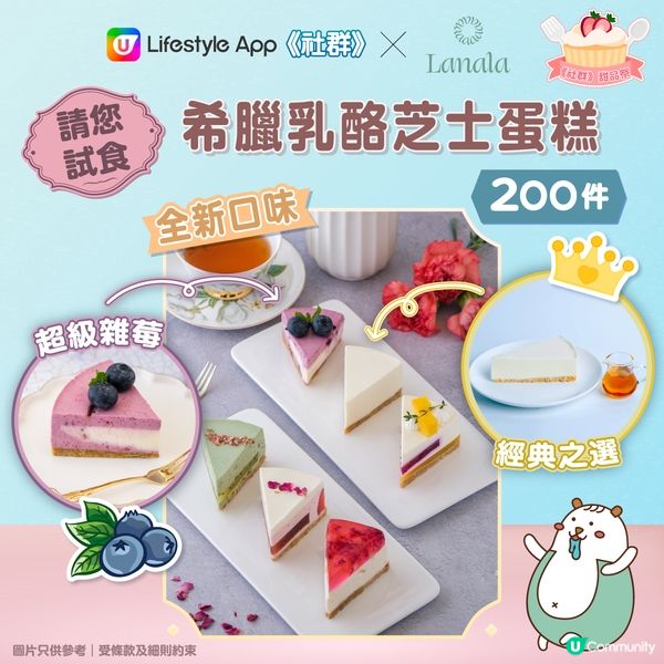 實測 | 本地10間必試人氣打卡吸睛蛋糕！超像真冬陰功蛋糕 / 港式菠蘿包蛋糕 / 美式棋盤蛋糕 / 低糖低脂Cheese Cake