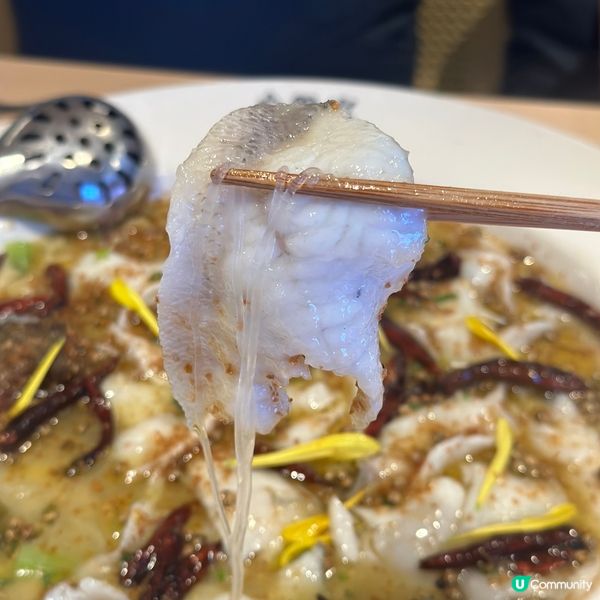 北上覓食！漁語魚‧酸菜魚新川菜