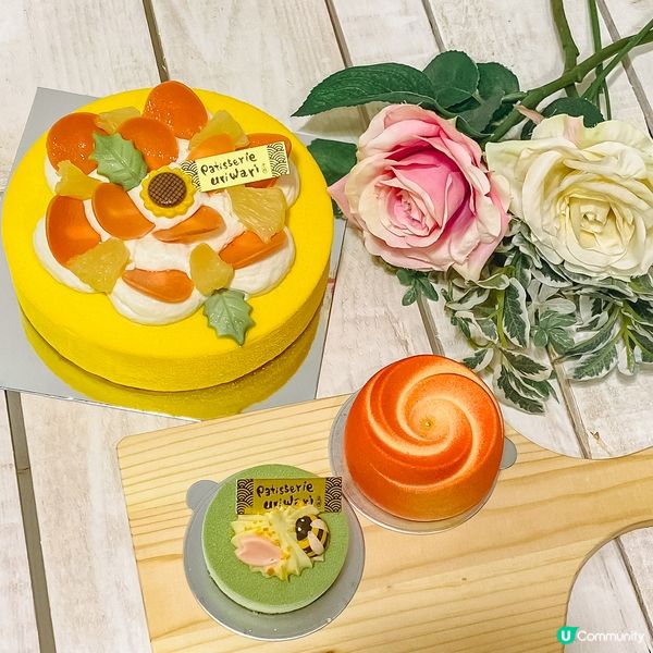 實測 | 生日蛋糕2023～九大人氣本地小店／網店高分打卡蛋糕推薦！文青森林系蛋糕／半糖少甜健康配方／和風洋菓子甜點！