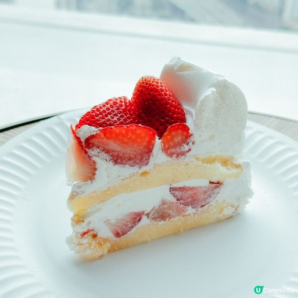 實測 | 生日蛋糕2023～九大人氣本地小店／網店高分打卡蛋糕推薦！文青森林系蛋糕／半糖少甜健康配方／和風洋菓子甜點！