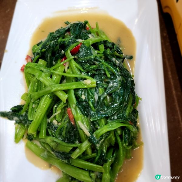 药膳滋补鸡煲🐥抵食呀