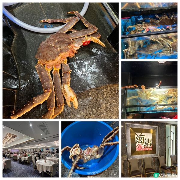 海港全城最抵阿拉斯加長腳蟹$188/斤❗️