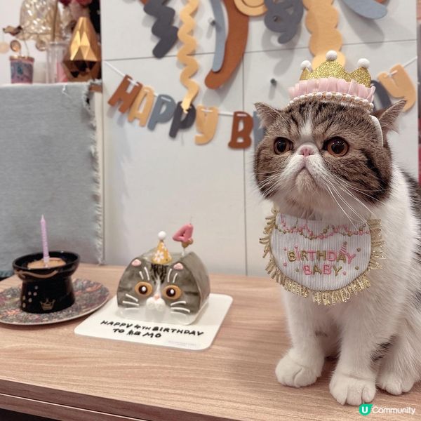 🌟It’s my 4th birthday today🌟