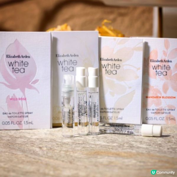 茶香女人香@FINDS