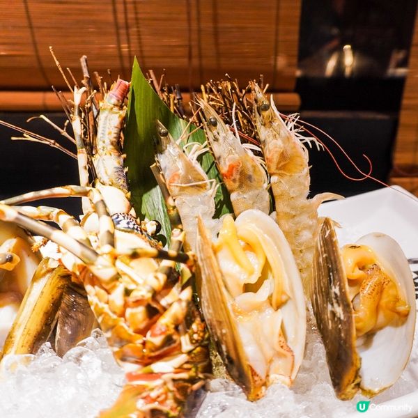 銅鑼灣高質一人一爐蒸海鮮🍲🦀🦞🦐🐚