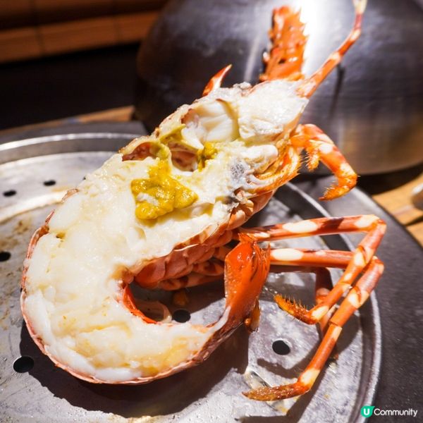 銅鑼灣高質一人一爐蒸海鮮🍲🦀🦞🦐🐚