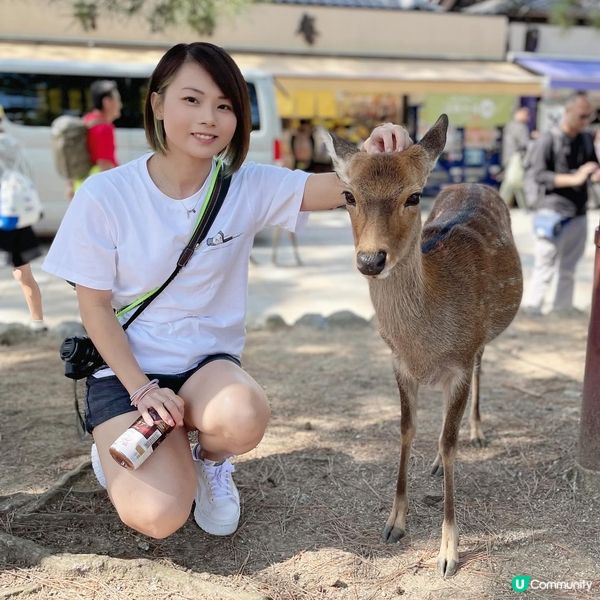 古都魅力與自然美的交融