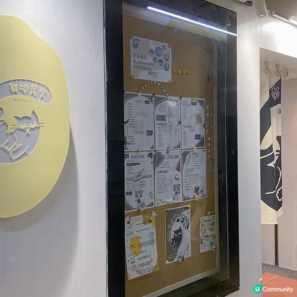 觀塘好味好玩貓貓咖啡室💖😍